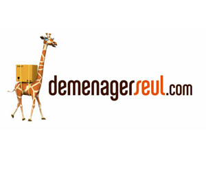 Demenager Seul